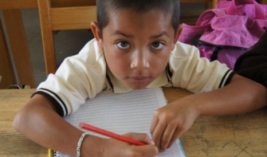 programas-sociales_solo-levanta-la-mano_image