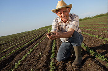 tipo-programas-sociales_medio-ambiente_homeimage_0