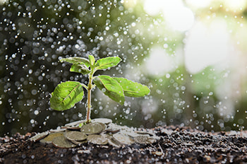 tipo-programas-sociales_medio-ambiente_homeimage_1