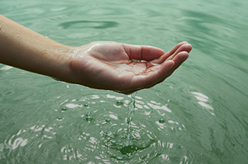 tipo-programas-sociales_medio-ambiente_homeimage_2